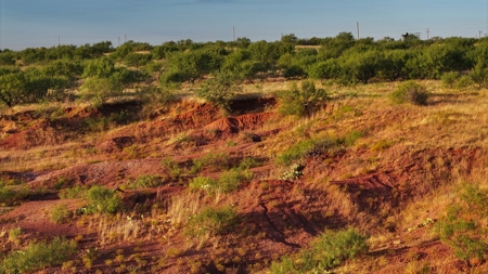 Ranch Recreational Land Wichita County Texas - image 21