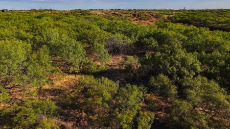 Ranch Recreational Land Wichita County Texas - image 45