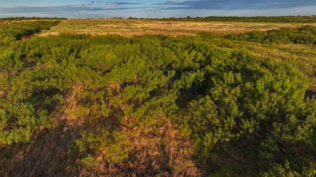 Ranch Recreational Land Wichita County Texas - image 17