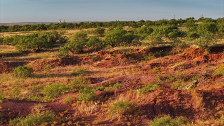 Ranch Recreational Land Wichita County Texas - image 20