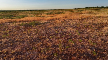 Ranch Recreational Land Wichita County Texas - image 6