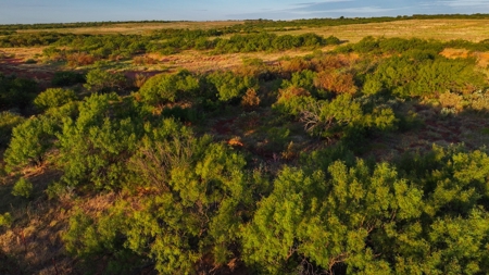 Ranch Recreational Land Wichita County Texas - image 10