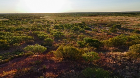 Ranch Recreational Land Wichita County Texas - image 4