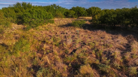 Ranch Recreational Land Wichita County Texas - image 35