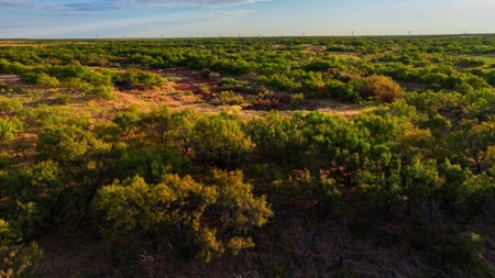 Ranch Recreational Land Wichita County Texas - image 16