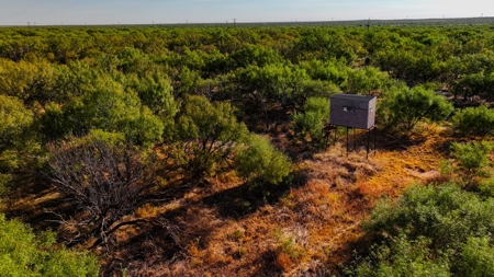 Ranch Recreational Land Wichita County Texas - image 47