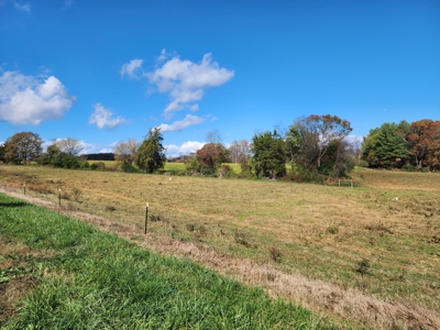 Working Poultry Farm for sale in Hamptonville NC/ - image 3