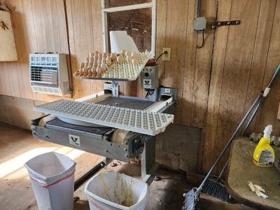 Working Poultry Farm for sale in Hamptonville NC/ - image 25