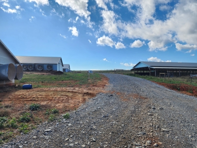Working Poultry Farm for sale in Hamptonville NC/ - image 28