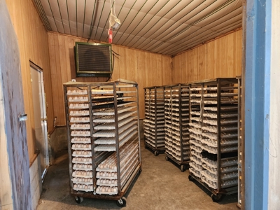 Working Poultry Farm for sale in Hamptonville NC/ - image 17