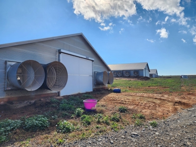 Working Poultry Farm for sale in Hamptonville NC/ - image 5