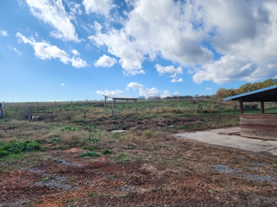 Working Poultry Farm for sale in Hamptonville NC/ - image 9