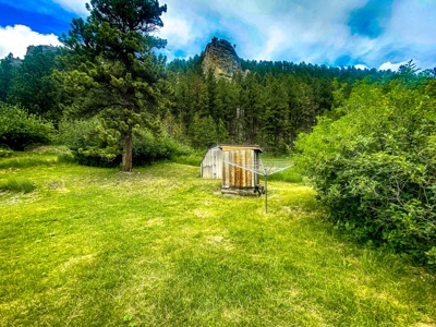 Home Or Cabin In Zortman Montana-Little Rocky Mountains - image 44