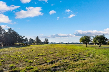 60-Acre Brush Prairie Estate: Luxury Home, Views, and Land - image 28