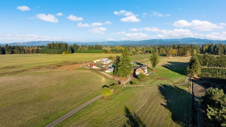 60-Acre Brush Prairie Estate: Luxury Home, Views, and Land - image 4