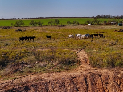 Ranch Recreational Land, Home in Archer County Texas - image 18