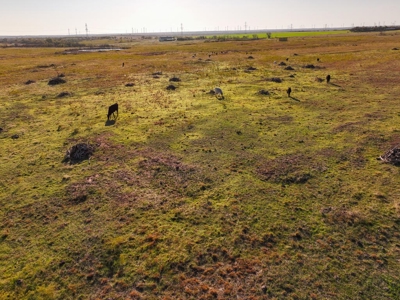 Ranch Recreational Land, Home in Archer County Texas - image 11