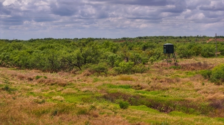 Hunting Ranch, Cattle Ranch North Texas - image 25
