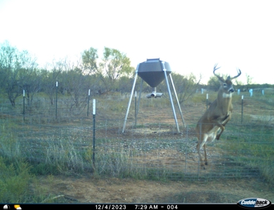 Hunting Ranch, Cattle Ranch North Texas - image 3