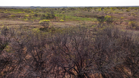 Hunting Ranch, Cattle Ranch North Texas - image 40