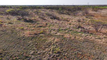 Hunting Ranch, Cattle Ranch North Texas - image 43