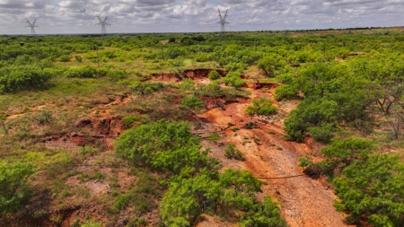 Hunting Ranch, Cattle Ranch North Texas - image 30