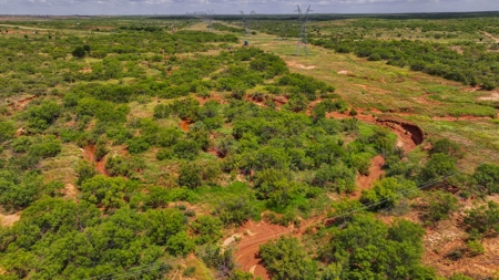 Hunting Ranch, Cattle Ranch North Texas - image 16