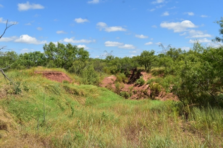 Hunting Ranch, Cattle Ranch North Texas - image 8