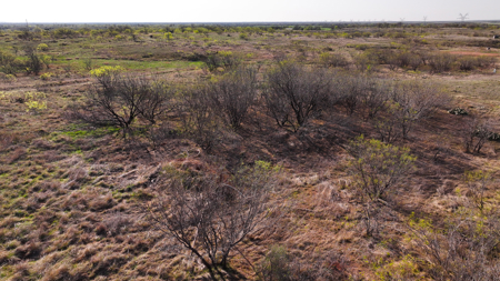 Hunting Ranch, Cattle Ranch North Texas - image 36