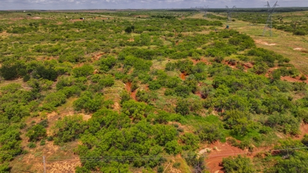 Hunting Ranch, Cattle Ranch North Texas - image 17