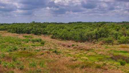 Hunting Ranch, Cattle Ranch North Texas - image 26