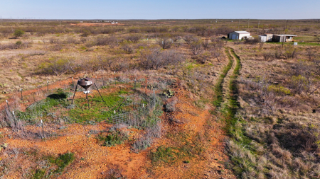 Hunting Ranch, Cattle Ranch North Texas - image 49