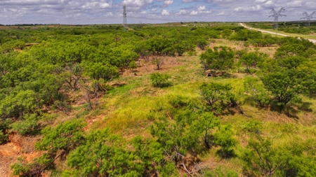 Hunting Ranch, Cattle Ranch North Texas - image 31