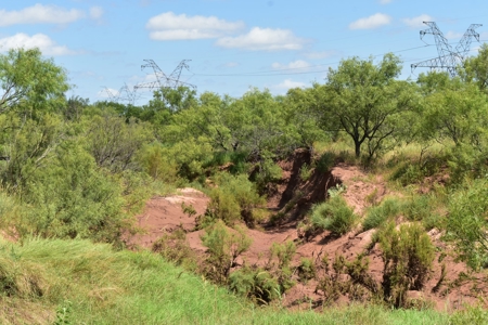 Hunting Ranch, Cattle Ranch North Texas - image 9