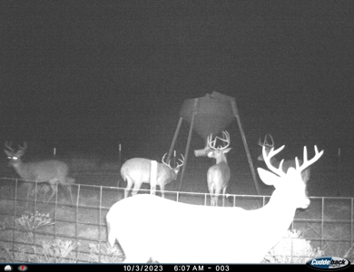 Hunting Ranch, Cattle Ranch North Texas - image 4