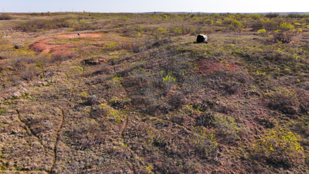 Hunting Ranch, Cattle Ranch North Texas - image 46