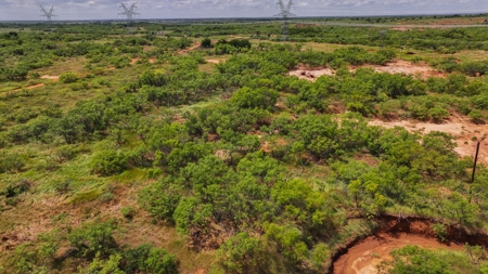 Hunting Ranch, Cattle Ranch North Texas - image 18