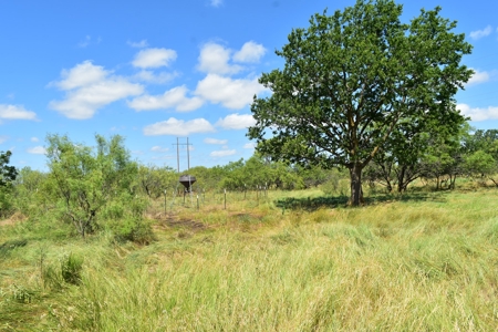 Hunting Ranch, Cattle Ranch North Texas - image 10