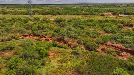 Hunting Ranch, Cattle Ranch North Texas - image 13