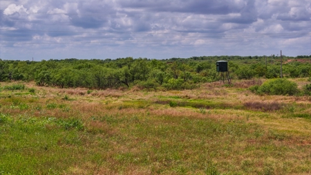 Hunting Ranch, Cattle Ranch North Texas - image 24