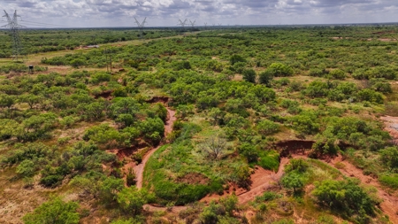 Hunting Ranch, Cattle Ranch North Texas - image 21