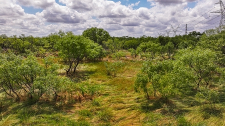 Hunting Ranch, Cattle Ranch North Texas - image 27