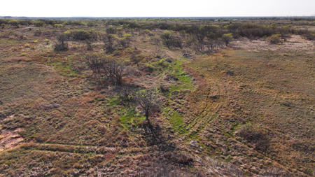 Hunting Ranch, Cattle Ranch North Texas - image 34