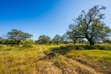 Prime 35+/- ac in Pleasanton, TX - image 7