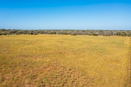 Prime 35+/- ac in Pleasanton, TX - image 6