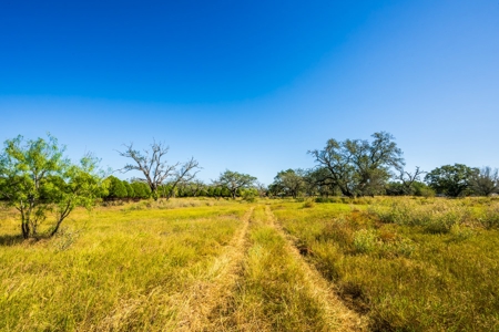 Prime 35+/- ac in Pleasanton, TX - image 2