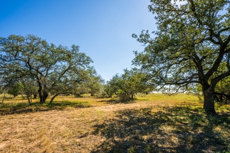 Prime 35+/- ac in Pleasanton, TX - image 1