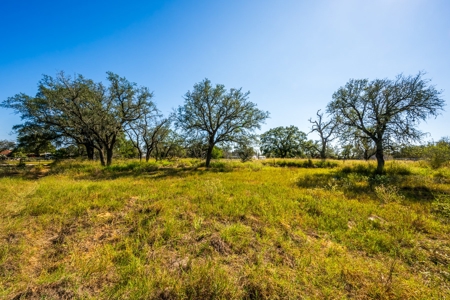 Prime 35+/- ac in Pleasanton, TX - image 3