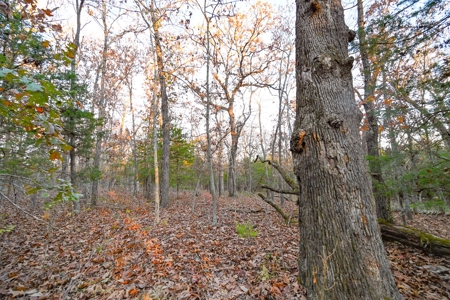 Land For Sale in Hickory County, MO - image 33