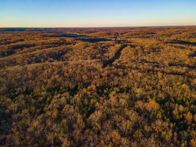 Land For Sale in Hickory County, MO - image 5